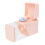 Automatic Rabbits Pet Feeder 22.00x21.80x9.50cm Pink 5