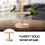 Parrot Training Stand Bird Perch Stand 1set For Bird Owners 10