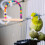 1X Multi Kleur Vogel Swing Speelstand Papegaaien 6