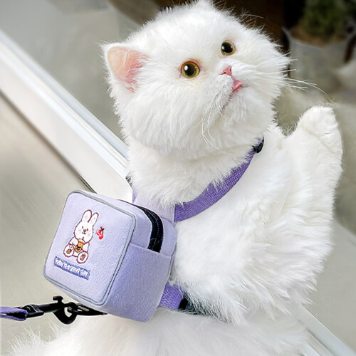 Leash For Cats Training Purple Polyester 1pack 2