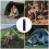 Camping Tools 10pcs Serrated Flint For Survival Gear 7
