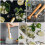 Ergonomic Beech Muddler For Bar And Home Cocktail Mixing 1pc 11