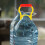 2 Pcs Bucket Lifter Camping Water Container Gallon Bottle Handle 5
