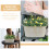 Gymnture Spring Galvanized Oval Planter With Handle - Set Of 2 6