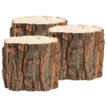 3 Pcs Wood Stump Pots For Plants Rustic Succulent Planter Wooden