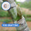 4 Rolls Grafting Tape For Plants Improve Survival Rate 11