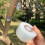 4 Rolls Grafting Tape For Plants Improve Survival Rate 6