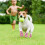 Summer Design Dog Boots Pink 4pcs 11