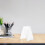 Desktop Display Rack Small Clear Bookcase Bookshelves Shelf 11