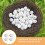60 Pcs Strip Awning Easter Vase Filler Simulation Foam Bird Egg 8