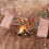 Camping Grills Racks 不锈钢烤网烤架 Family Barbecue Tool 10