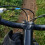 1set Cylindrical Brake Lever For 1.2x0.4x0.4in 5