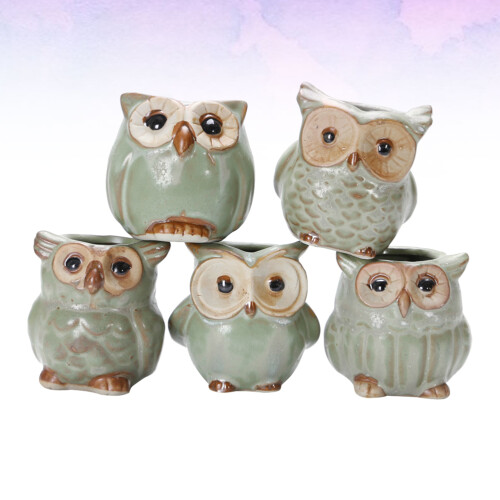 5 Pcs Owl Succulent Ornaments Unique Small Pot Mini Ceramic Pots 1