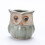 5 Pcs Owl Succulent Ornaments Unique Small Pot Mini Ceramic Pots 10