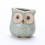 5 Pcs Owl Succulent Ornaments Unique Small Pot Mini Ceramic Pots 5