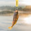 Double-Sided Display Mechanical Hanging Scale Iron 4set 5