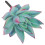 Succulent Plant Card Plug Acrylic Succulents 5