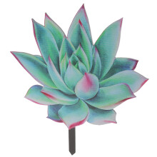 Succulent Plant Card Plug Acrylic Succulents