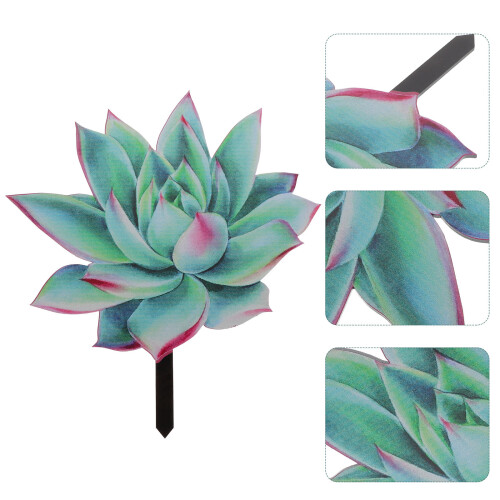 Succulent Plant Card Plug Acrylic Succulents 2