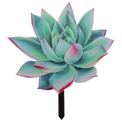 Succulent Plant Card Plug Acrylic Succulents 1