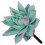 Succulent Plant Card Plug Acrylic Succulents 9
