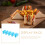 Taco Serving Rack Taco Holder 4pcs Easy To Clean 10