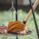 Barbecue Grill Accessory Long Handle Round Brush Head 2pcs 8