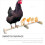 Chicken Coop Roosting Perch Bird Perch Yellow 1set 6