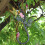 Flowerpot Hook Iron 1pcs 11x5in For Garden Use 8