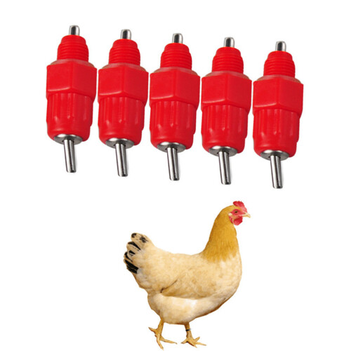 Poultry Drinker Feeders Fresh Water Maintenance 50pcs 2in 2