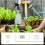 Bottle Continuous Watering -Friendly Sprayer 9