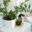 Bottle Continuous Watering -Friendly Sprayer 7