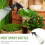 Bottle Continuous Watering -Friendly Sprayer 11