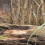 Golden Bark Terrarium Background For Creation - 1 Set 11