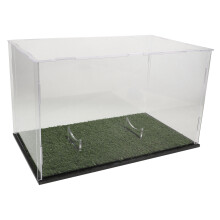 Green Acrylic Tabletop Rugby Ball Showcase Storage Case