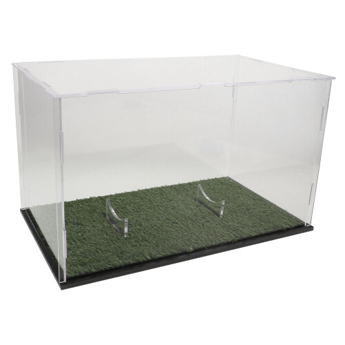 Green Acrylic Tabletop Rugby Ball Showcase Storage Case