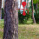 1pcs Stake Target For Tree Targets 7.86x7.86x0.98in 3