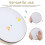 Music Classes Hand Drum Beige Color With Singing And 1 Set 6