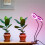 Plant Growth Lamp Black 1pack 19.3x3.3x0.4in 7