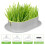 Soilless Cat Grass Grass Planter 2 Pcs Indoor Use 7