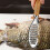 Fish Scales Stainless For Food Preparation 1pack 8