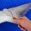 Fish Scales Stainless For Food Preparation 1pack 4