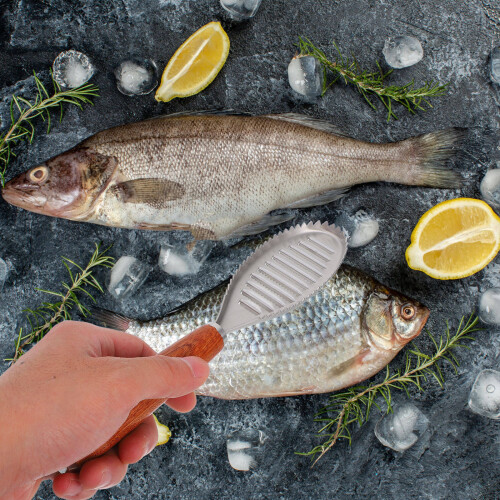 Fish Scales Stainless For Food Preparation 1pack 1