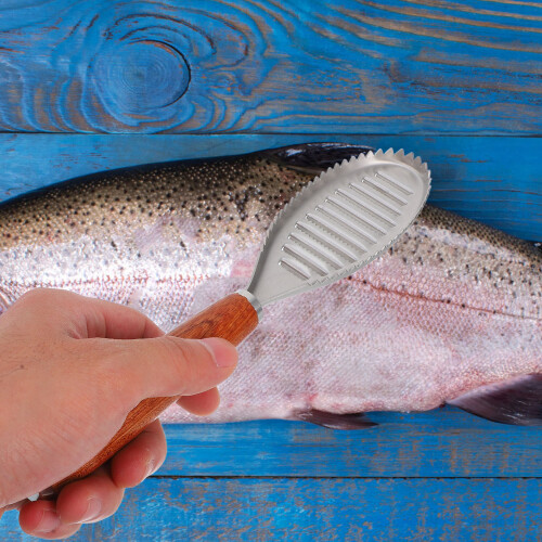 Fish Scales Stainless For Food Preparation 1pack 2