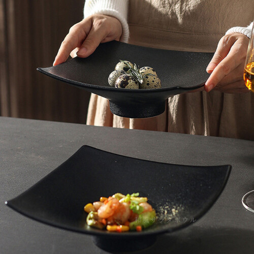 Ceramic Square Dinner Plate Food Storage Tray Container Set 2