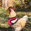 Chicken Duck Goose Strap Pet Adjustable Rooster Vest 6