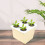 Hydroponics Growing Containers Plastic 1pack 11.8x9.8x9.8in 10