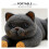 Craft Eyes Tool For Stuffed Animals Assorted Color 1 Set 9
