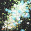 Raindrops  4 Bottles Snowflake Glitter Shapes Mini Snowflakes 8