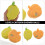 Raindrops Child Sponges Bathing Ball Assorted Color 2pcs 7